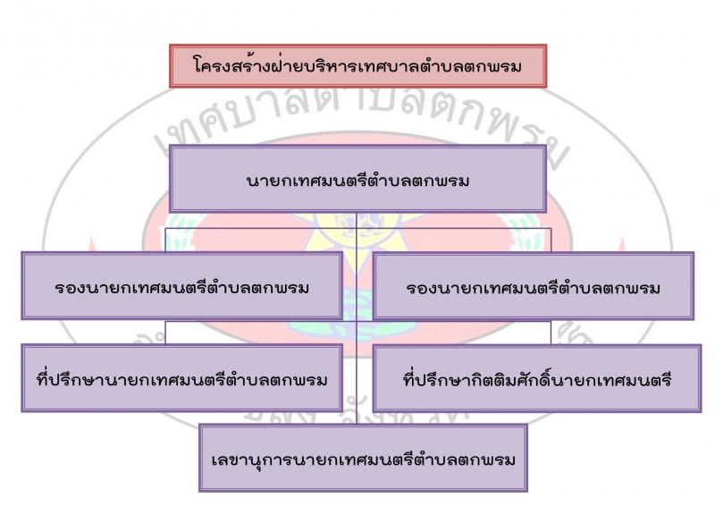 โครงสร้างคณะผู้บริหาร