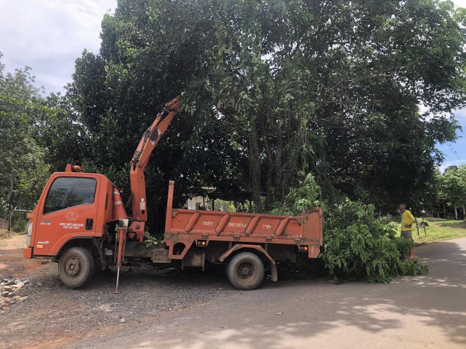 ตัดกิ่งไม้ที่กีดขวางการจราจรบริเวณริมทางตามคำร้อง ในพื้นที่หมู่ที่ 10 บ้านบ่อกลาง