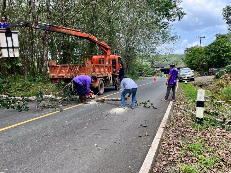 ตัดกิ่งไม้ที่กีดขวางการจราจรบริเวณริมทางตามคำร้อง ในพื้นที่หมู่ที่ 3 บ้านสะตอน้อย