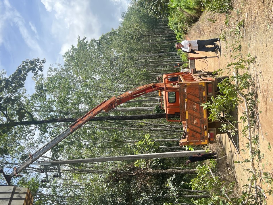 ตัดต้นไม้ที่ล้มทับสายไฟแรงสูง เพื่อความปลอดภัยและป้องกันระบบไฟฟ้าขัดข้อง